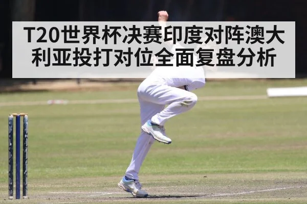 T20世界杯决赛印度对阵澳大利亚投打对位全面复盘分析