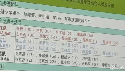 世界杯直播-TF家族夏日运动会分组阵容曝光|皓极|涵坤|黄朔|苏新皓|志极_新浪体育_新浪新闻
